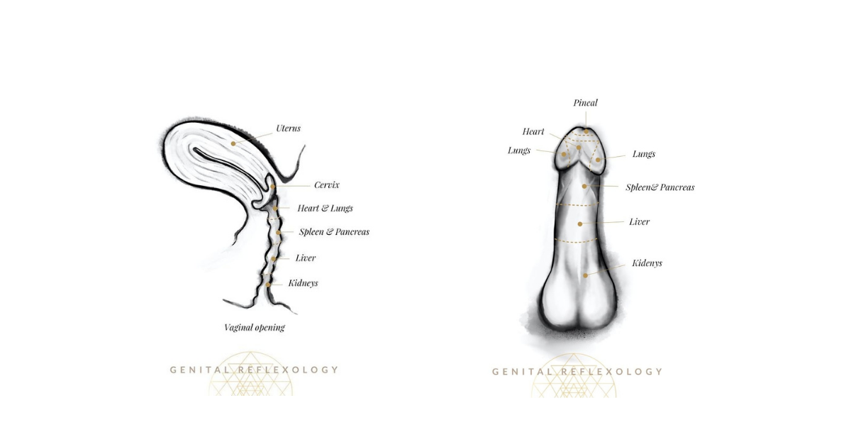 Genital reflexology Sofia Sundari